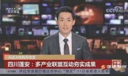 蓬安新闻爆料事件视频,视频揭露惊人真相