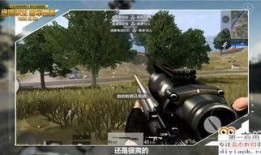 爆料素材视频大全,素材视频大全精彩瞬间大盘点