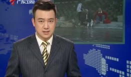 广东新闻联播爆料电话,揭秘电话背后的新闻故事