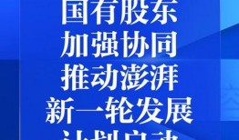 新闻网爆料,揭秘重大事件背后真相