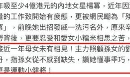 香港生活爆料视频播放网站,热门爆料视频网站深度解析