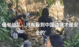中缅辉哥爆料了吗视频,事件真相与幕后黑幕