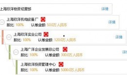 欣洋最新爆料,揭秘娱乐圈最新热点事件内幕