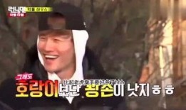 娱乐爆料君铲屎官,揭秘铲屎官背后的故事