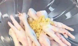 无缝鸡爪爆料视频大全集,揭秘幕后真相与精彩瞬间