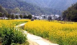 江西婺源热点爆料新闻事件,考古新发现引热议