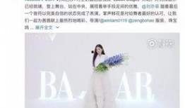 黑天鹅视频爆料最新,揭秘惊人内幕，颠覆你的认知！