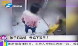 长沙妈妈爆料事件视频曝光,育儿困境引发社会关注