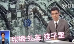 上春山幕后央视爆料视频,央视独家爆料视频深度解析