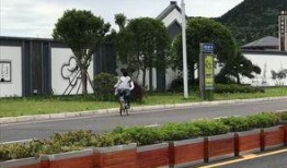 南充市新闻爆料网,聚焦本土热点，传递民生声音