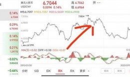 张捷爆料温铁军视频,深度解析背后的经济真相