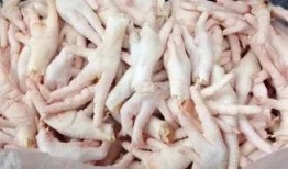 无缝鸡爪爆料视频大全集,揭秘幕后真相与精彩瞬间