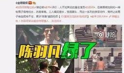 王大伦最新爆料视频大全,揭秘娱乐圈不为人知的一面