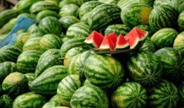 吃瓜网红赵一菲,吃瓜网红的崛起与影响力