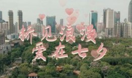 中山公园直播爆料最新情况,揭秘现场盛况与精彩瞬间