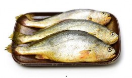 小黄鱼新闻爆料