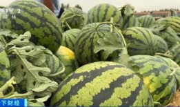 网红吃瓜颜色代表什么含义