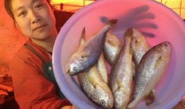 小黄鱼新闻爆料