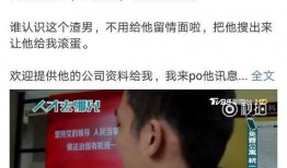 台湾大陆最新爆料视频网,真相与争议并存