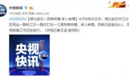 武汉二中爆料新闻视频,揭秘校园风云事件内幕