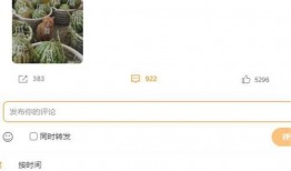 童瓜最新爆料在线观看