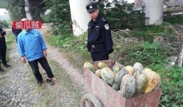 和县网红吃瓜事件视频曝光