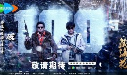 藏海花电视剧在线观看,探寻神秘古墓，揭秘千年宝藏之谜