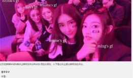 誓约女友爆料视频播放在线观看,揭秘背后惊人真相