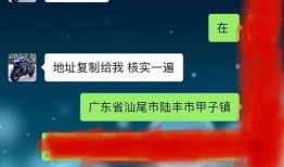 陆丰男子被爆料视频大全,揭开背后惊人真相