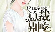 网红吃瓜薛小婉小说,揭秘娱乐圈背后的秘密风云