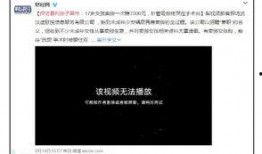 黑市在线观看17,揭秘17年在线观看的暗流涌动