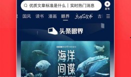 今日头条新闻爆料热线官网,揭秘爆料背后的真相与流程