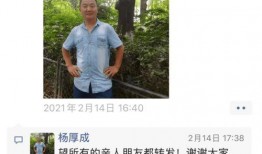 陈女士爆料最新新闻视频,揭秘事件背后惊人真相！