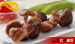 香菇炖爆料娱乐节目