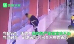 河北女子爆料事件始末视频,真相与争议的交织