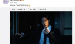 肖战李宁最新爆料,跨界合作背后的故事与期待