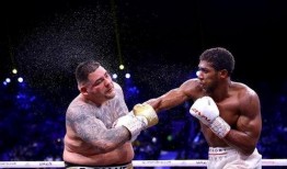 约书亚爆料视频,独家内幕大公开