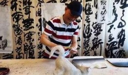 崔永元最新视频爆料,揭露娱乐圈惊人内幕