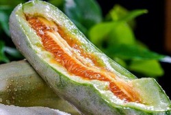 吃瓜网红赵一菲,吃瓜网红的崛起与影响力