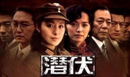 潜伏在线观看完整版,揭秘潜伏者背后的秘密与命运