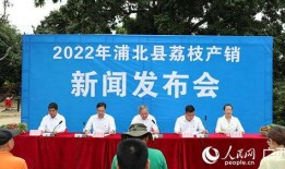 浦北新闻爆料事件最新,最新事件追踪，真相渐明！