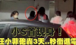 狗仔电梯爆料视频大全集,揭秘娱乐圈幕后真相大揭秘