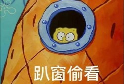 派大星娱乐爆料视频下载