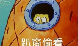 派大星娱乐爆料视频下载