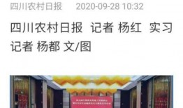 南充爱乐传媒爆料案件最新,揭开背后惊人真相