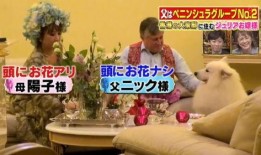 香港生活爆料视频播放网站,热门爆料视频网站深度解析