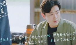 娱乐圈爆料李总小说,李总小说背后的真实故事