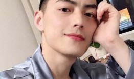 智勋老婆爆料视频,揭秘明星夫妻背后的甜蜜与挑战