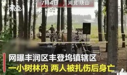 最近唐山爆料案件最新,真相与反思，社会治安再引关注