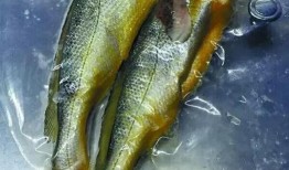 小黄鱼新闻爆料